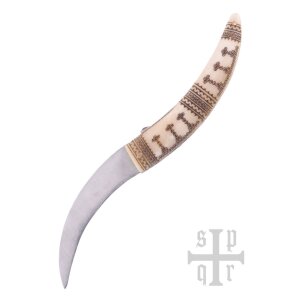 Viking Folding Knife with Carbon Steel Blade, Bone Handle