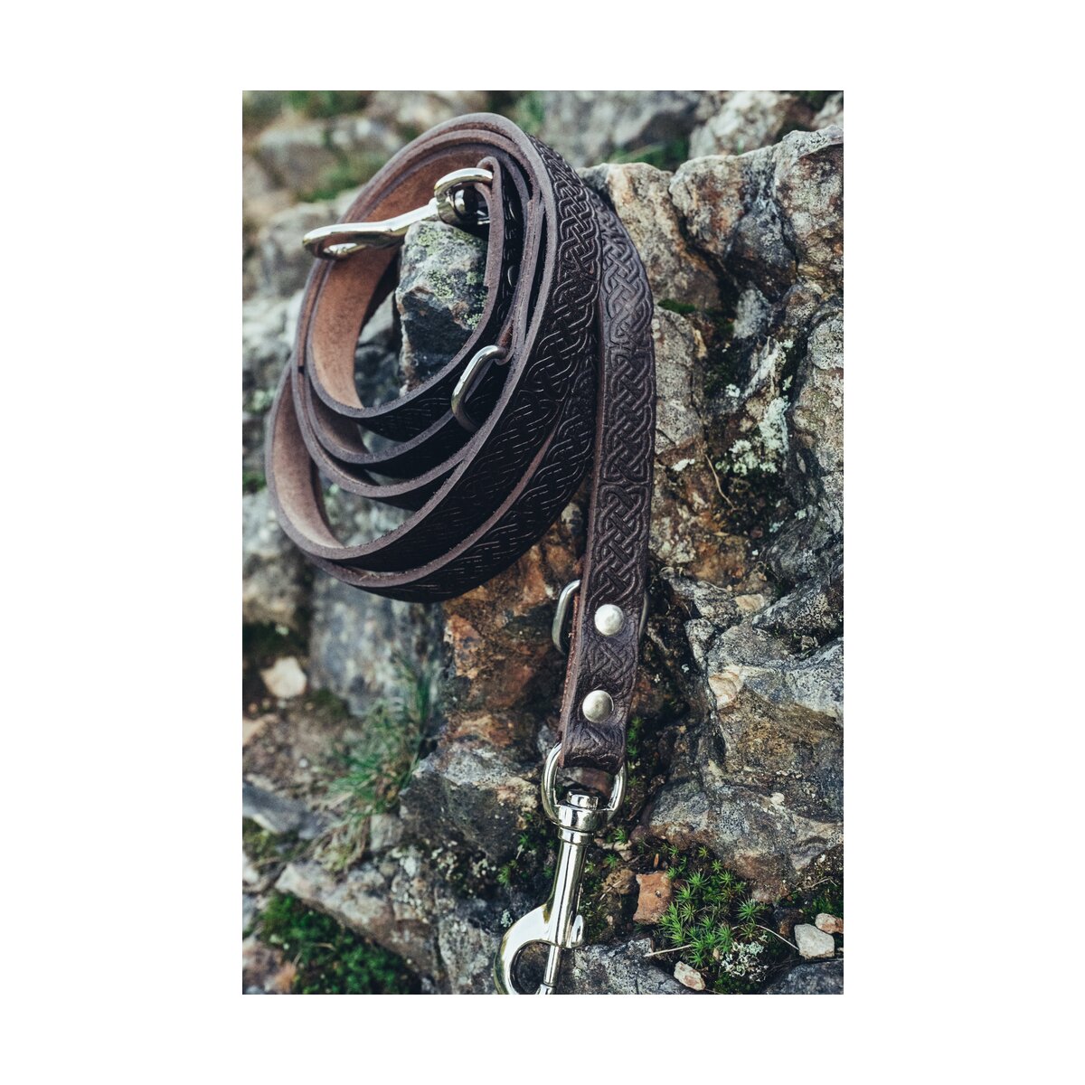 Dog leash leather