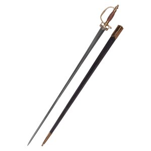 18th Century European Court Sword with Scabbard