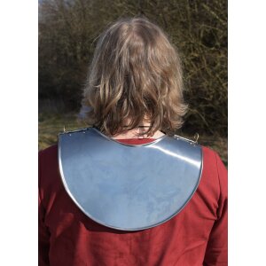 Steel gladiator collar