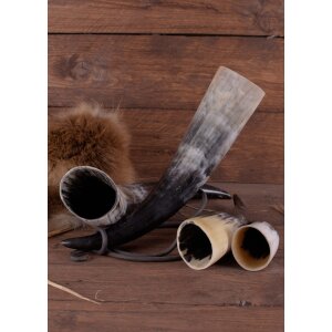 Drinking horn, approx. 3.5 liters