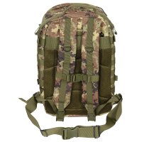 US Backpack, Assault II, vegetato