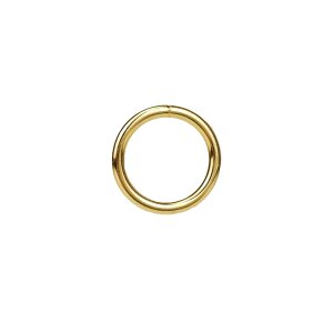 O-ring, ring made of steel 20mm, brass-plated (belt...