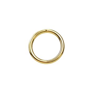 O-ring, ring of steel 25mm, brass-plated (belt distributor)
