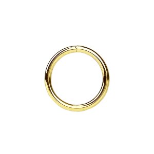 O-ring, ring of steel 30mm, brass-plated (belt distributor)