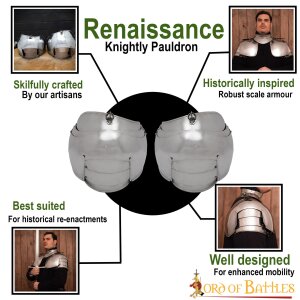 Renaissance Knightly Pauldrons 16 gauge