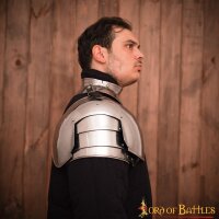 Renaissance Knightly Pauldrons 16 gauge