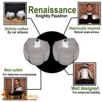 Renaissance Knightly Pauldrons 16 gauge