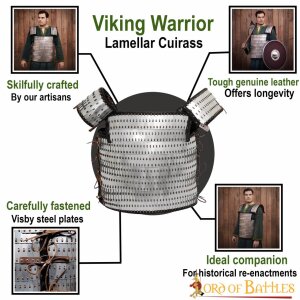 Viking Lamellar Scale Armour with Visby Plates