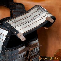 Viking Lamellar Scale Armour with Visby Plates