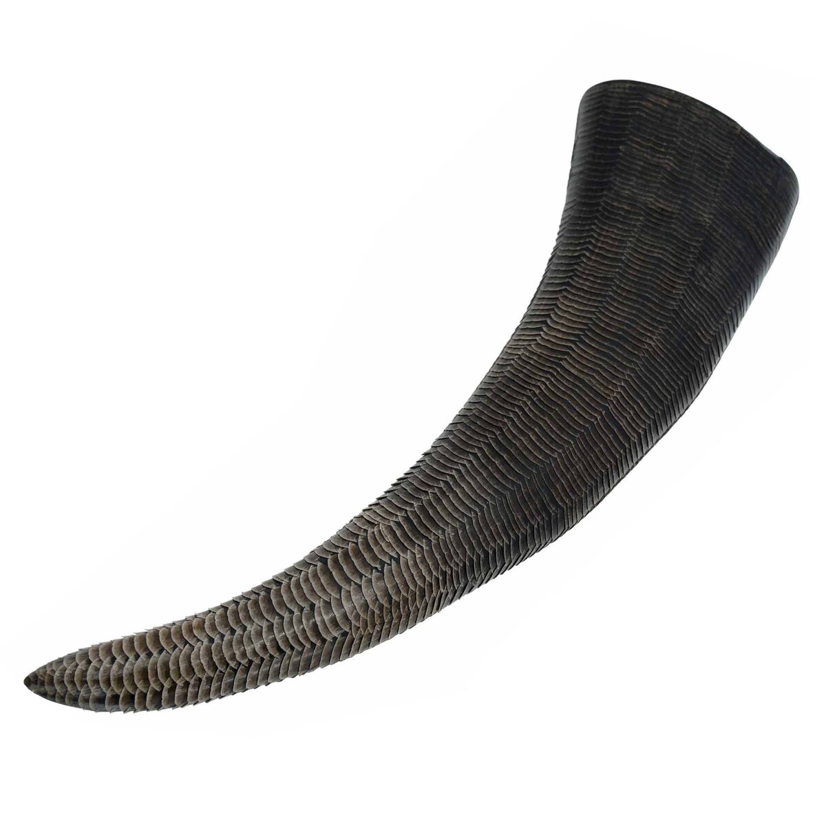 Medieval Viking Drinking Horn with Carved Scales Genuine...