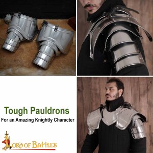 Light medieval fantasy Knightly Pauldrons polished