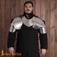 Light medieval fantasy Knightly Pauldrons polished