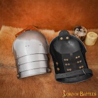 Medieval Knightly Classic Steel Pauldrons 16 gauge